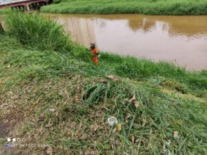 Demlurb capina 8.3.21 3