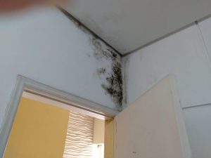 Retrospectiva jf 2022 outubronovembro