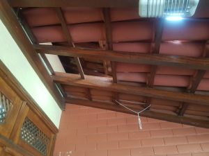 Caps Leste 29.2.24 10