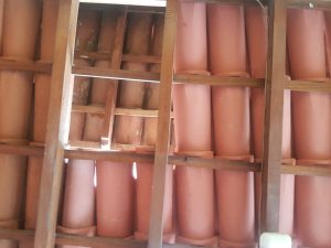 Caps Leste 29.2.24 11