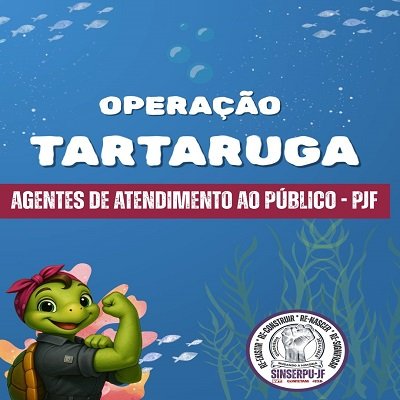 Operação tartaruga 1