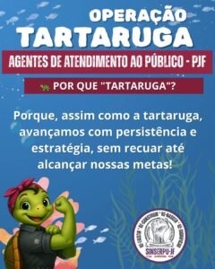 Operação tartaruga 3
