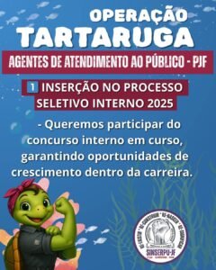 Operação tartaruga 5