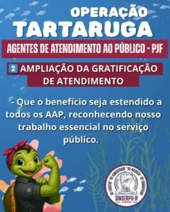 Operação tartaruga 6