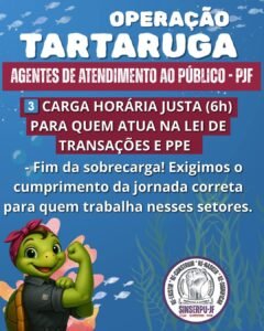 Operação tartaruga 7