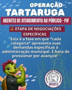 Operação tartaruga 9