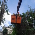 WhatsApp Image 2026 04 10 at 11.34.57